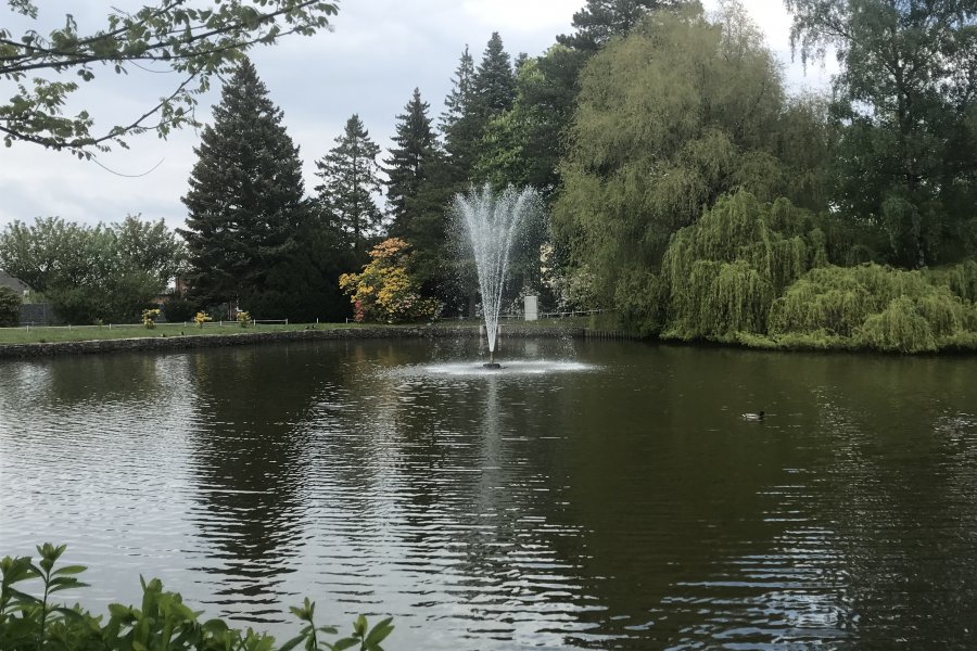 Großer Teich Wettinhain