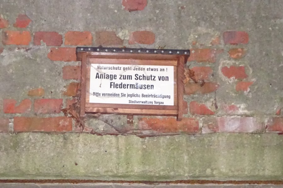 Hinweisschild Fledermausquartier