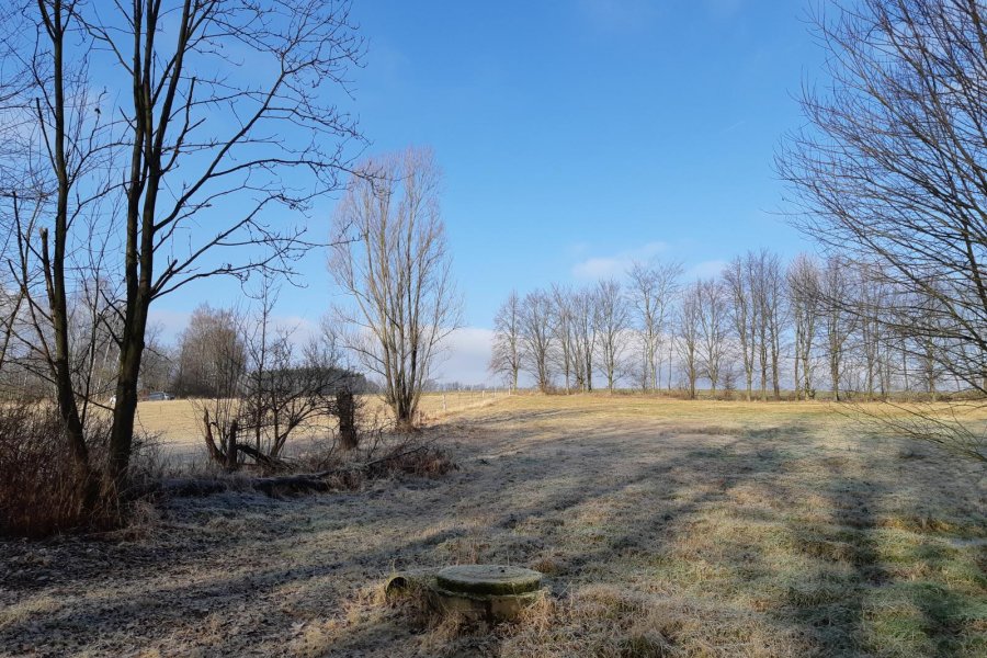Frostlandschaft