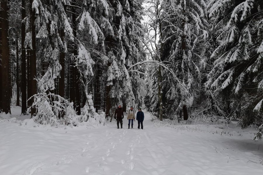 Winterquartierkontrolle Ergebirge