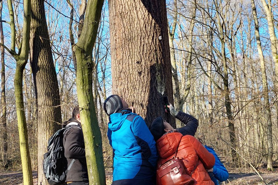 Kastenkontrolle Wermsdorfer Wald