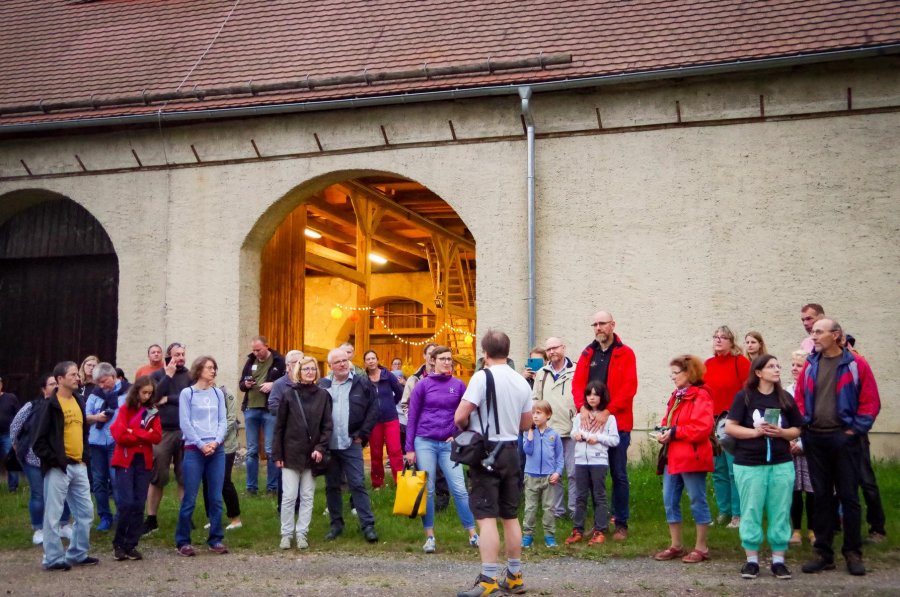 Nossen Fledermausexkursion