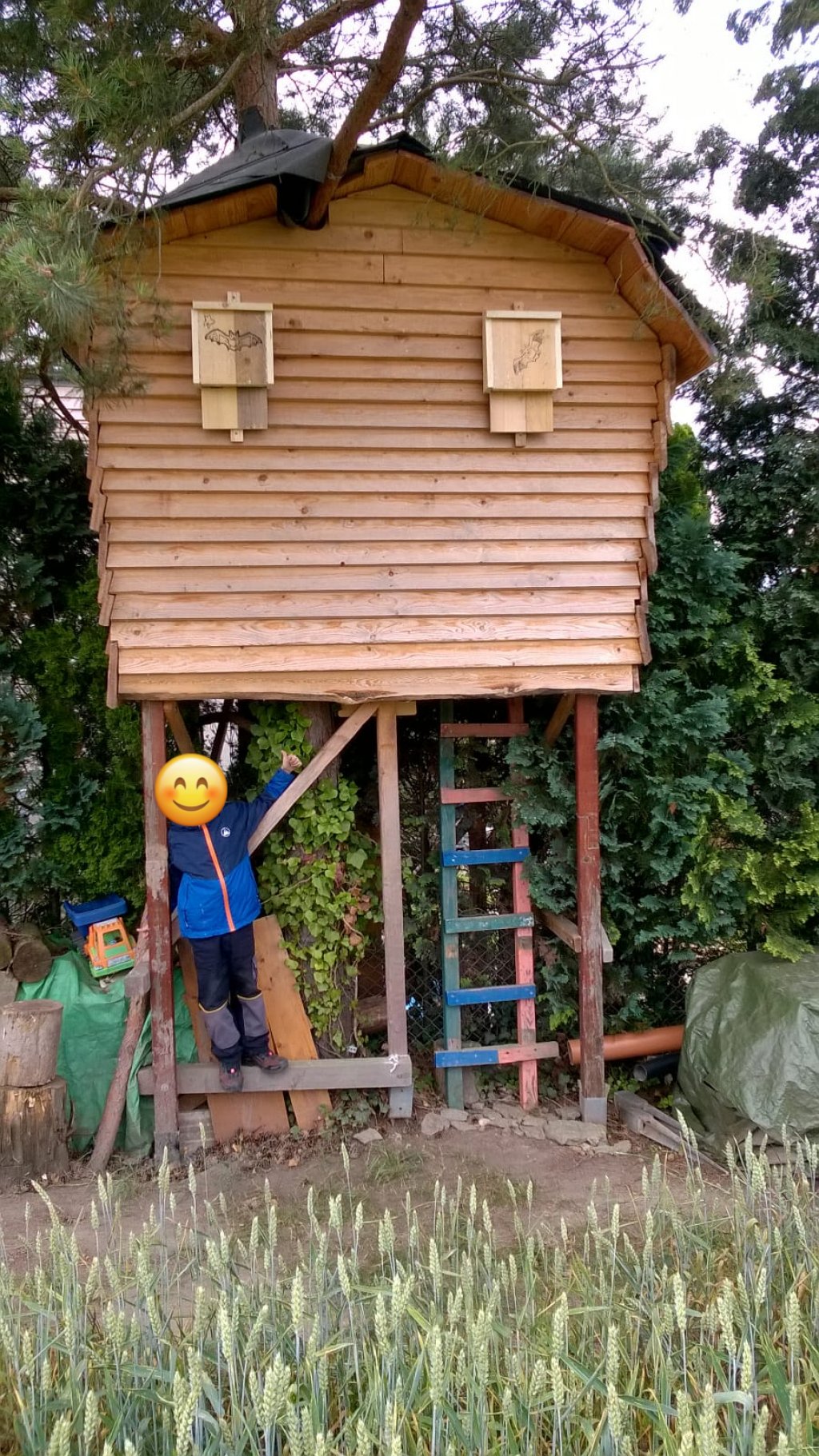Selbstgebauter Fledermauskasten angebracht am Hohen Forst